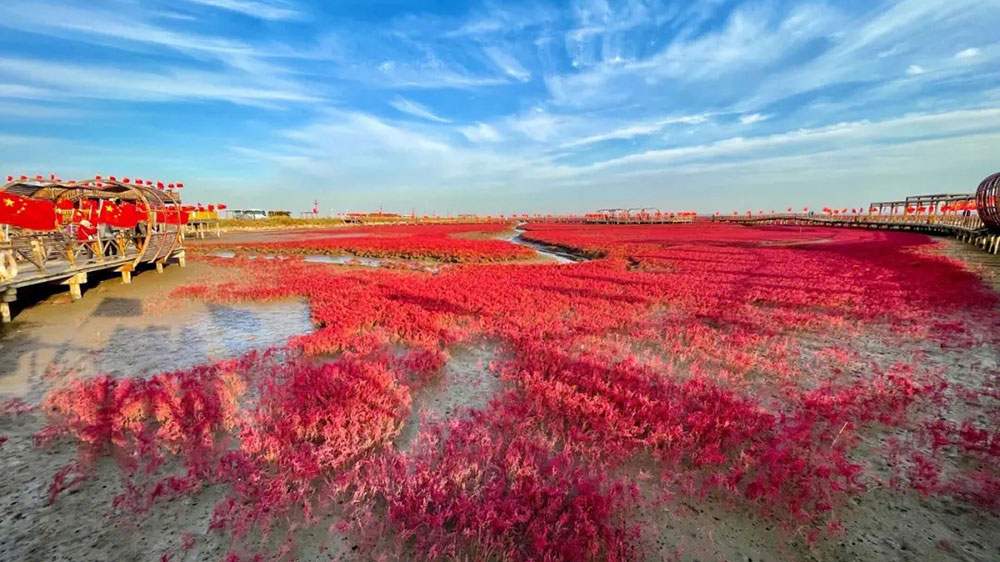 遼寧紅海灘.jpg